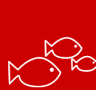 Cartoon fish