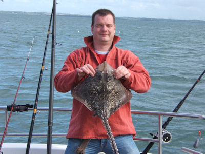 Thornback Ray