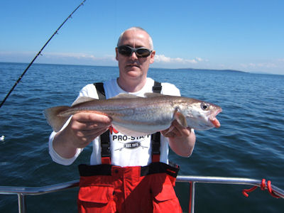 Whiting